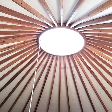 Camping Le Pre Saint-Andre Souvignargues 외부 사진